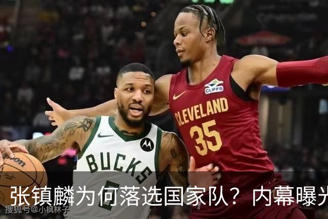 张镇麟为何落选国家队？内幕曝光，叫人心疼，郭士强并没放弃他