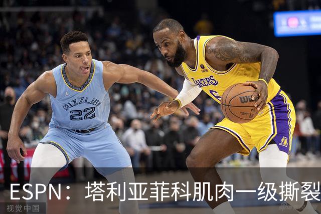 ESPN：塔利亚菲科肌肉一级撕裂，至少缺席世界杯前两场小组赛